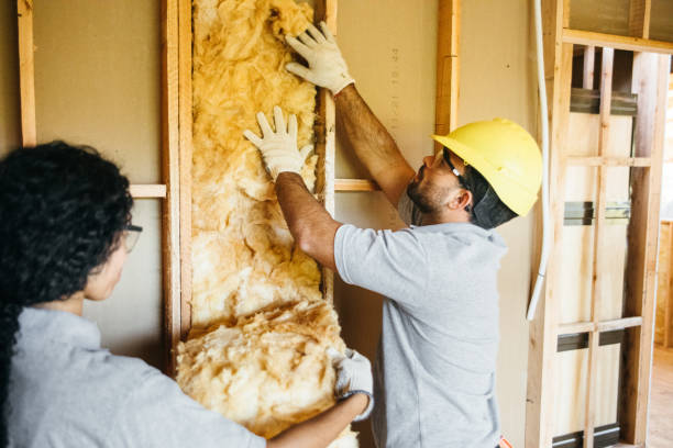 Best Energy-efficient Insulation  in Girard, PA